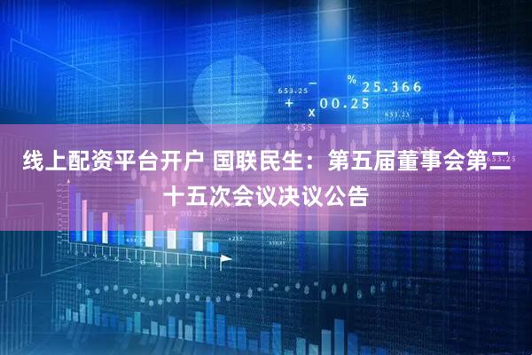线上配资平台开户 国联民生：第五届董事会第二十五次会议决议公告